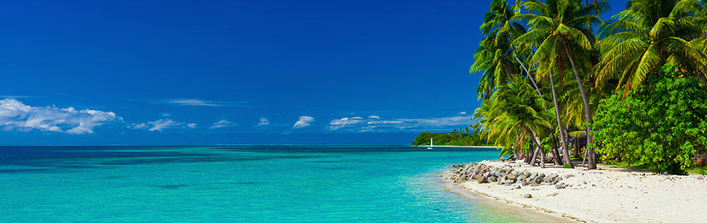 A pristine Fijian beach with crystal clear water and white sand and palm trees.